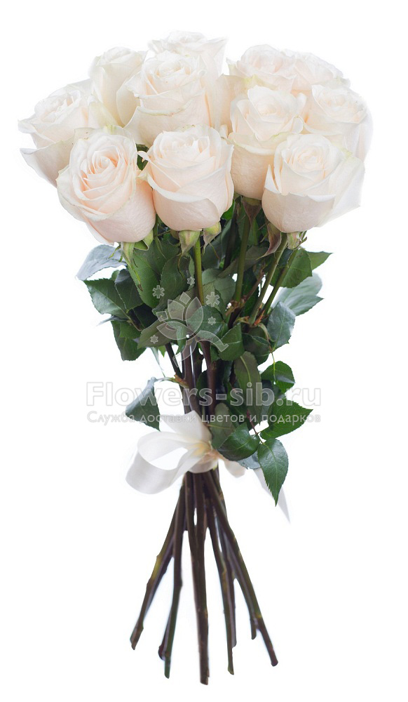 BOUQUET OF 11 ROSES